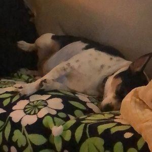 Meet your Posher, Cheryl